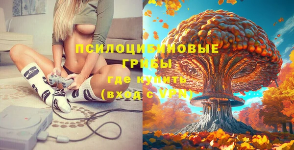 COCAINE Няндома