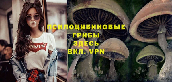 COCAINE Няндома