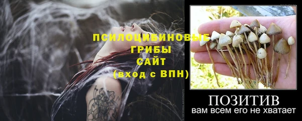 бошки Нязепетровск