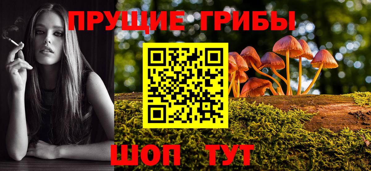 Обнинск  Псилоцибиновые грибы Cubensis  Вход с VPN  Галлюциногенные грибы GOLDEN TEACHER 