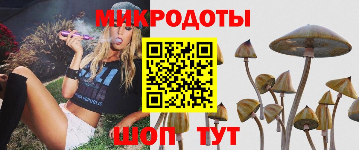 Псилоцибиновые грибы мицелий Обнинск