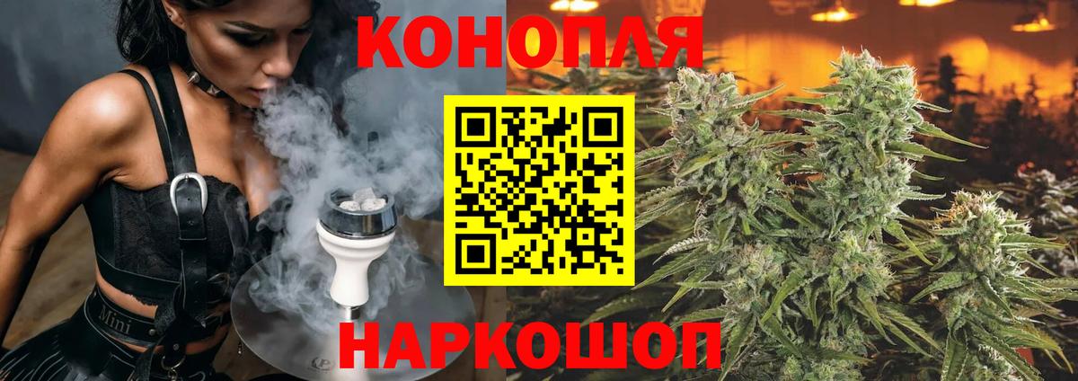 Канабис планчик Обнинск